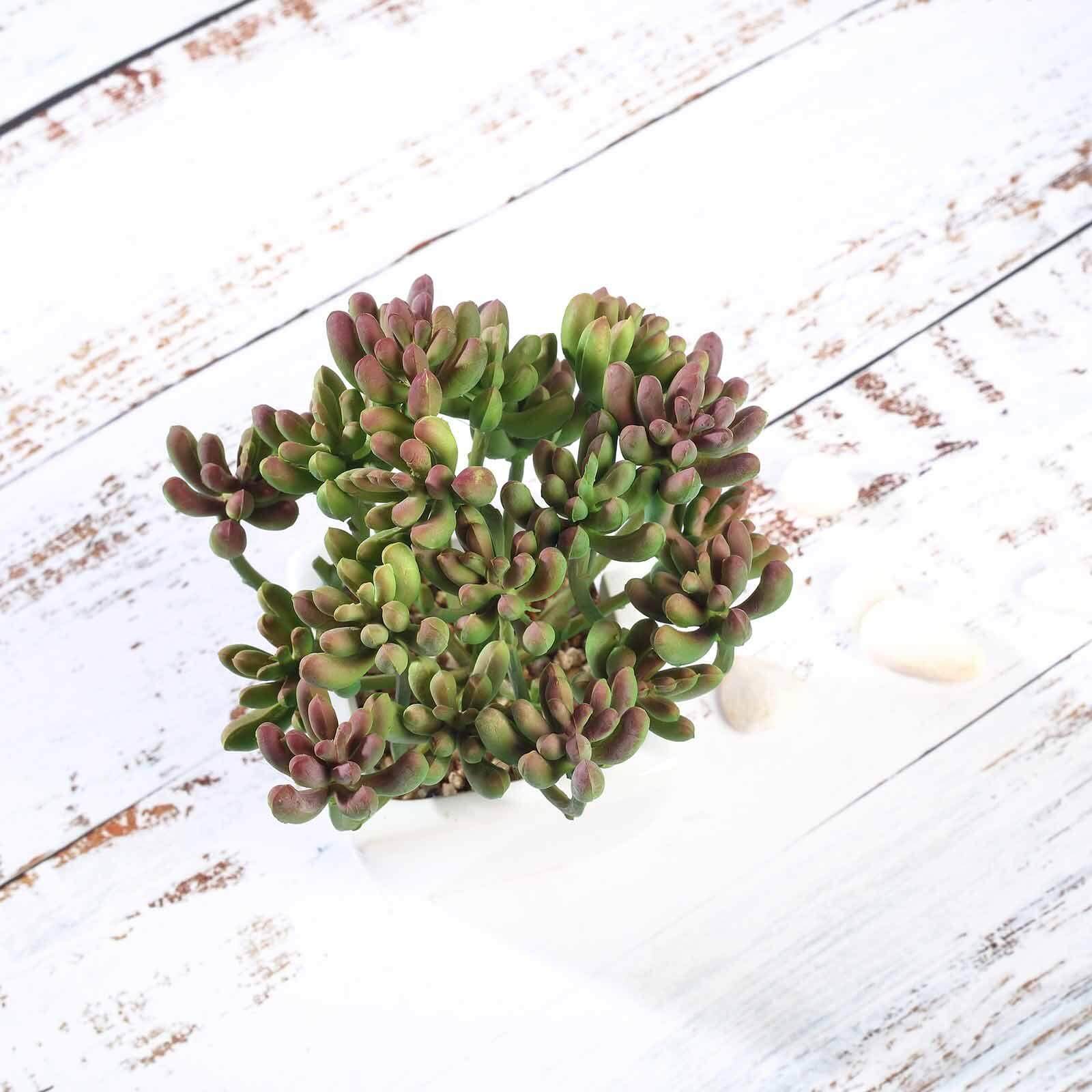 3-Pack Stonecrop Artificial Succulents in Ceramic Pots - Lifelike Decorative Faux Plants for Home Office & Event Design 7"