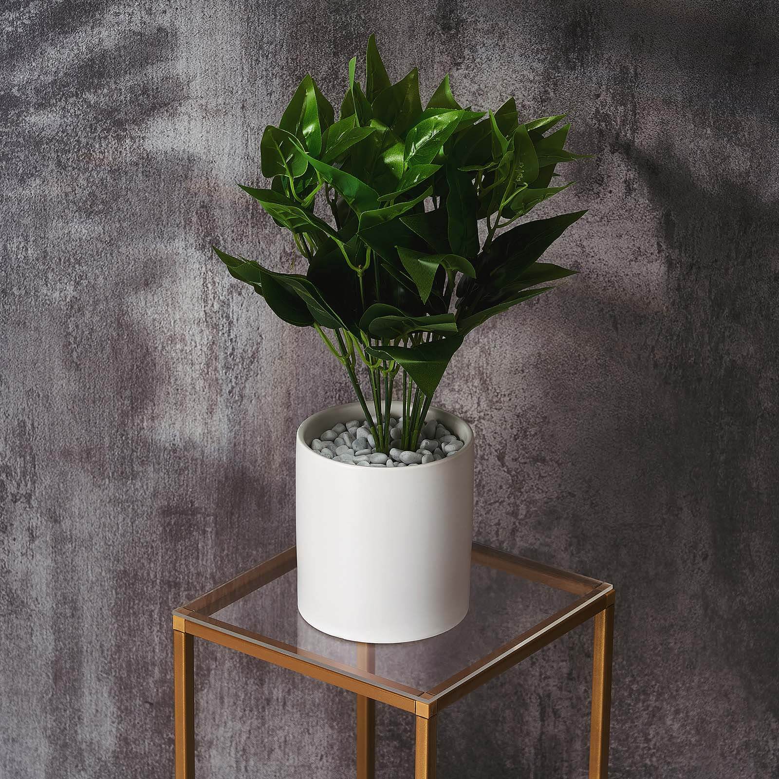 2-Pack Acrylic Plexiglass Sheets Top Plates Clear Square - Protective Film Coating 8" 3mm Thick