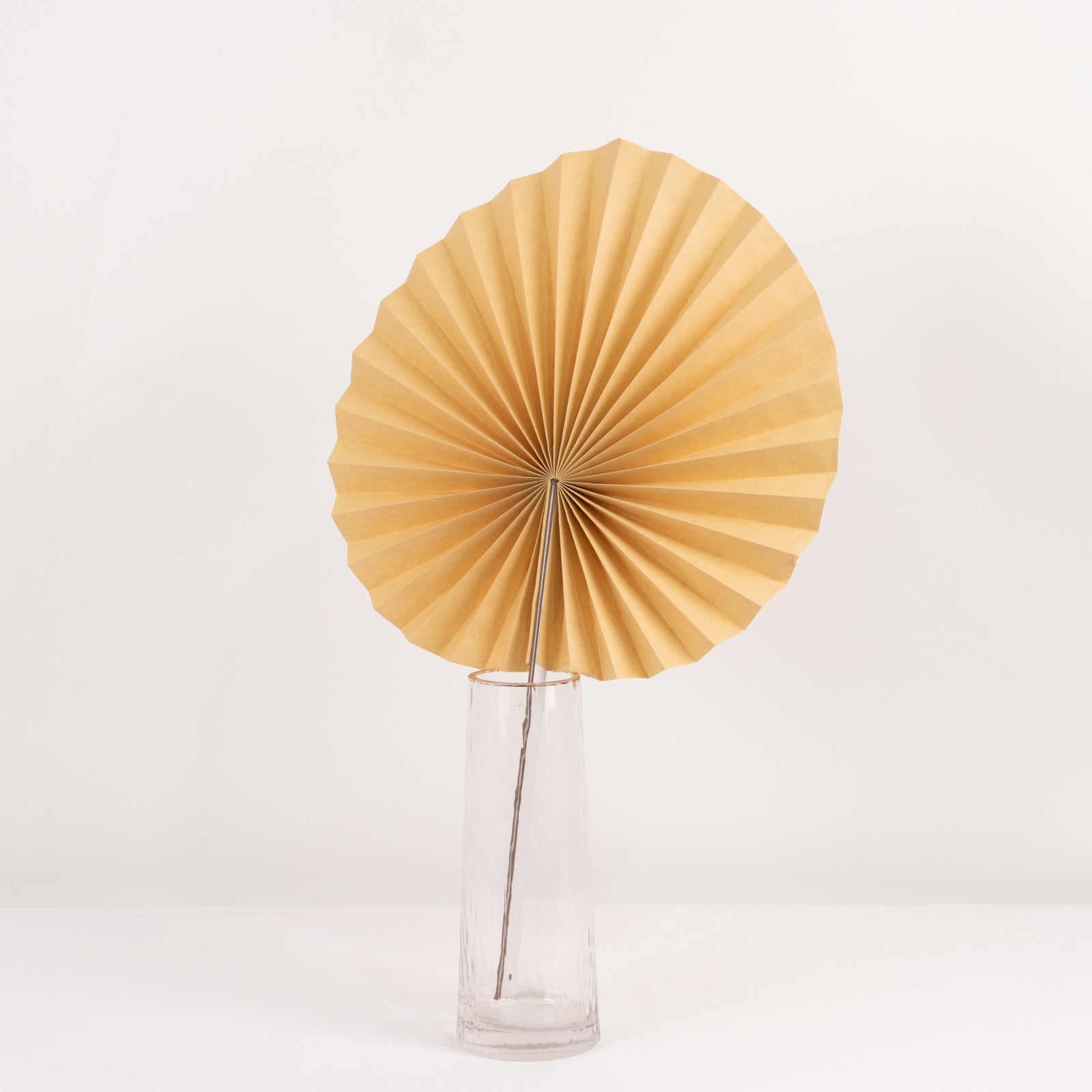 6 Pack Natural Dried Tropical Palm Leaves Paper Fans, 25" Handheld Folding Fans Boho Farmhouse Wall Table Decor