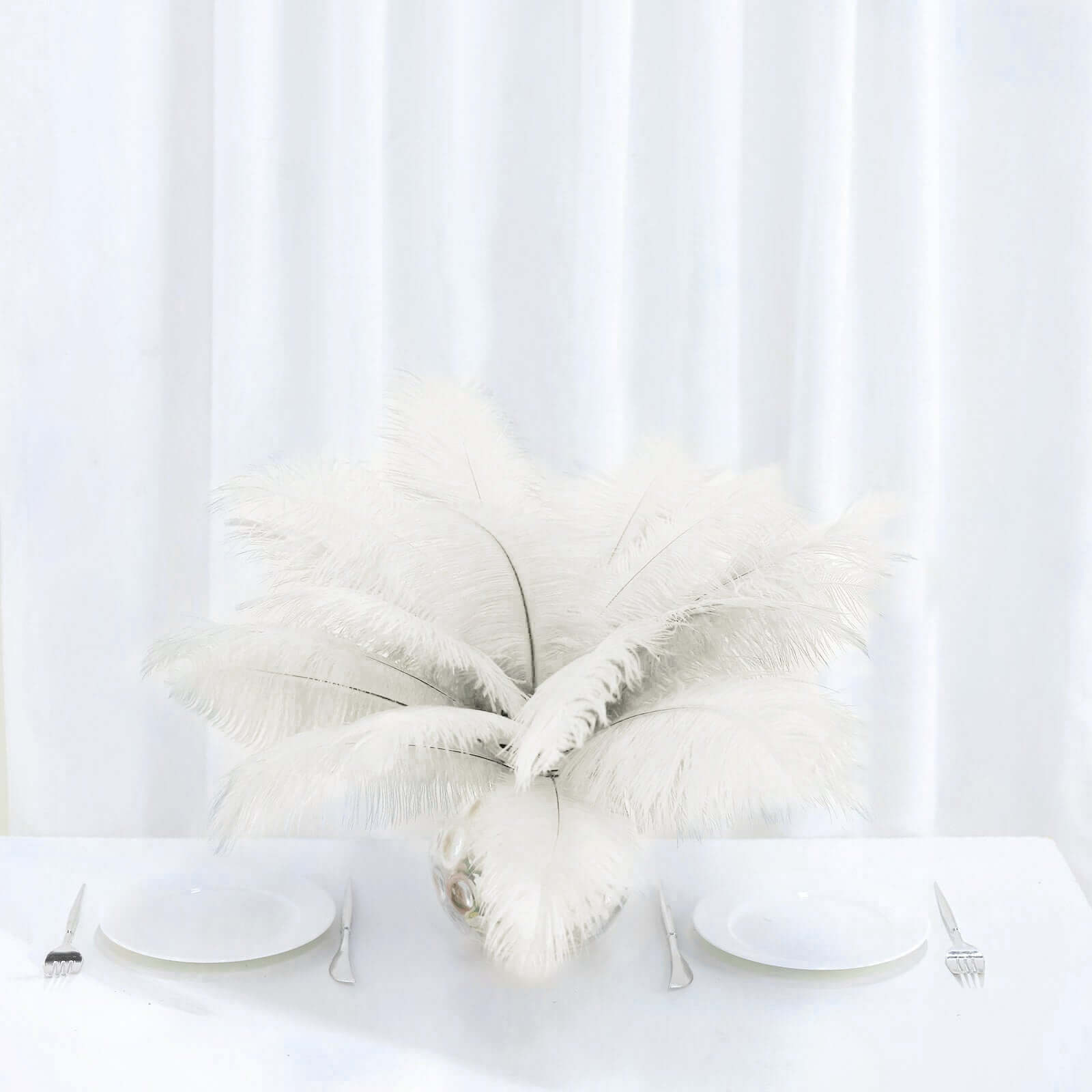 12 Pack 13"-15" Ivory Natural Plume Real Ostrich Feathers, DIY Centerpiece Fillers