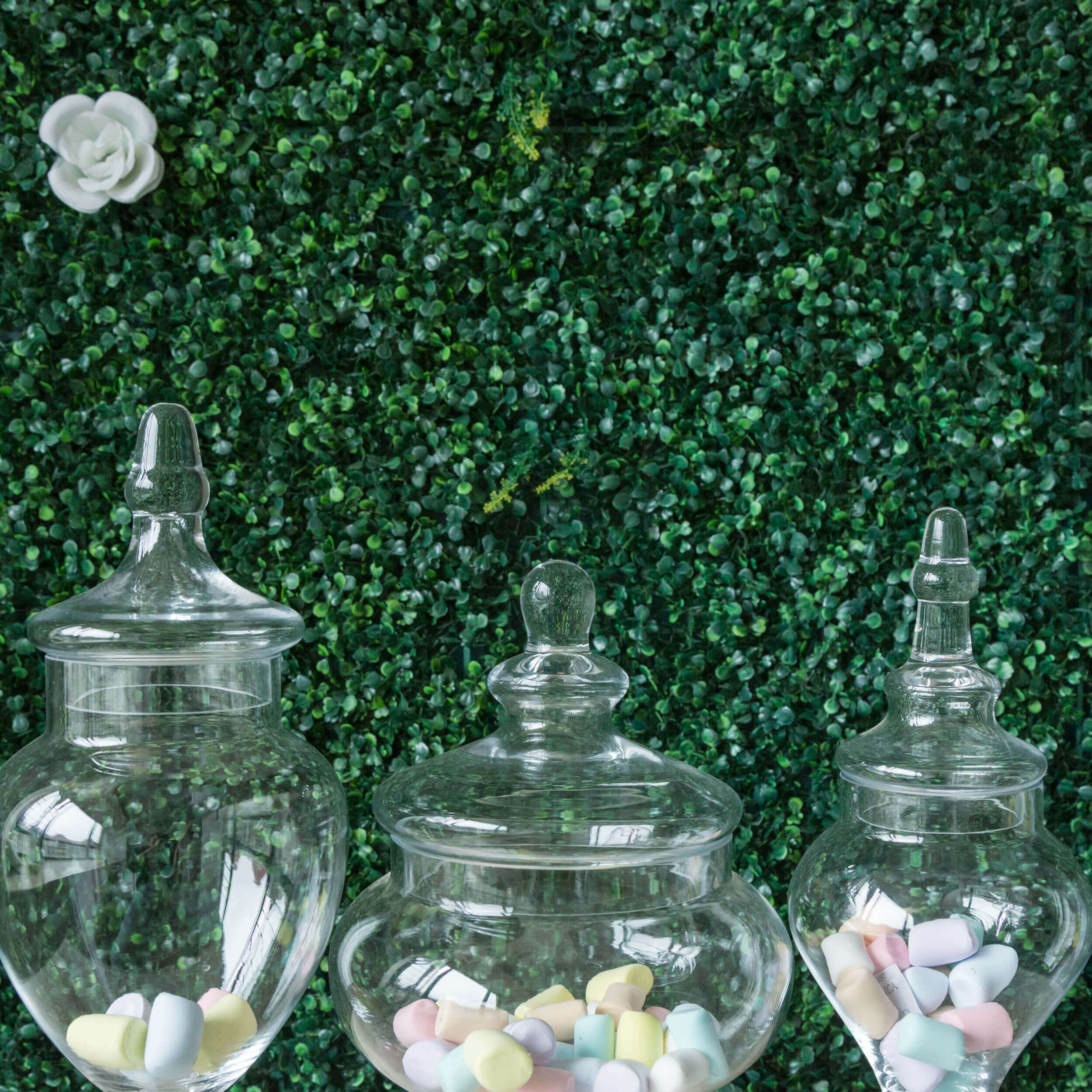 Set of 3 Glass Candy Jars Pedestal Apothecary Design Clear with Snap-On Lids - Stylish Party Favor Containers 10"/12"/14"