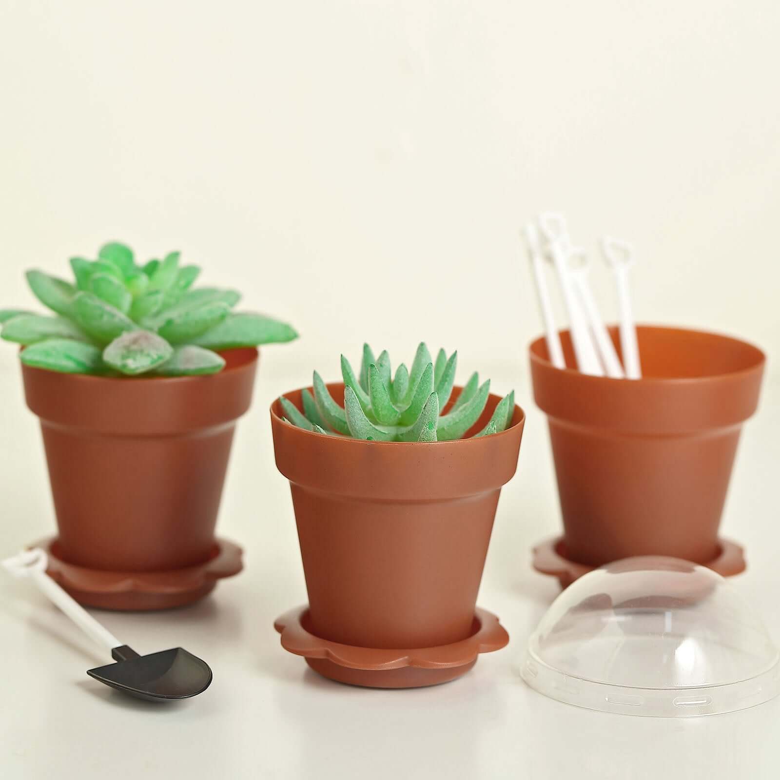 12-Pack Dessert Cups Succulent Planter Design Terracotta (Rust) - Plastic Serving Cups with Lids and Shovels 4"