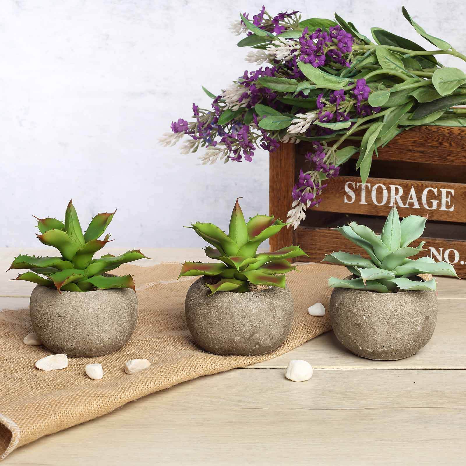 3-Pack Aloe Artificial Succulents in Ceramic Pot - Lifelike Decorative Faux Plants for Home Office & Event Design 5"
