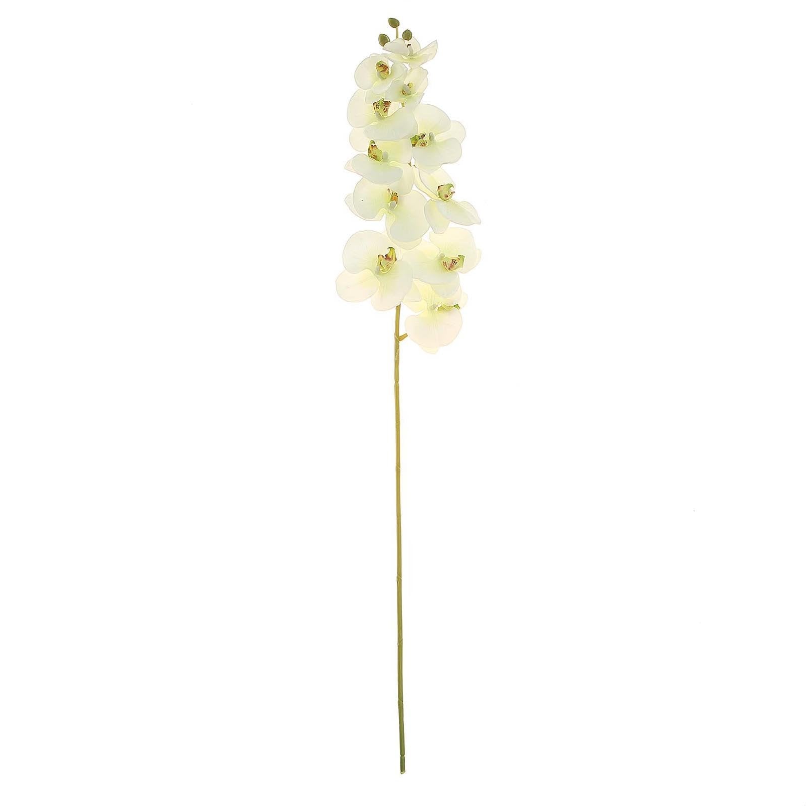 2 Stems 40" Tall Cream Artificial Silk Orchid Flower Bouquets