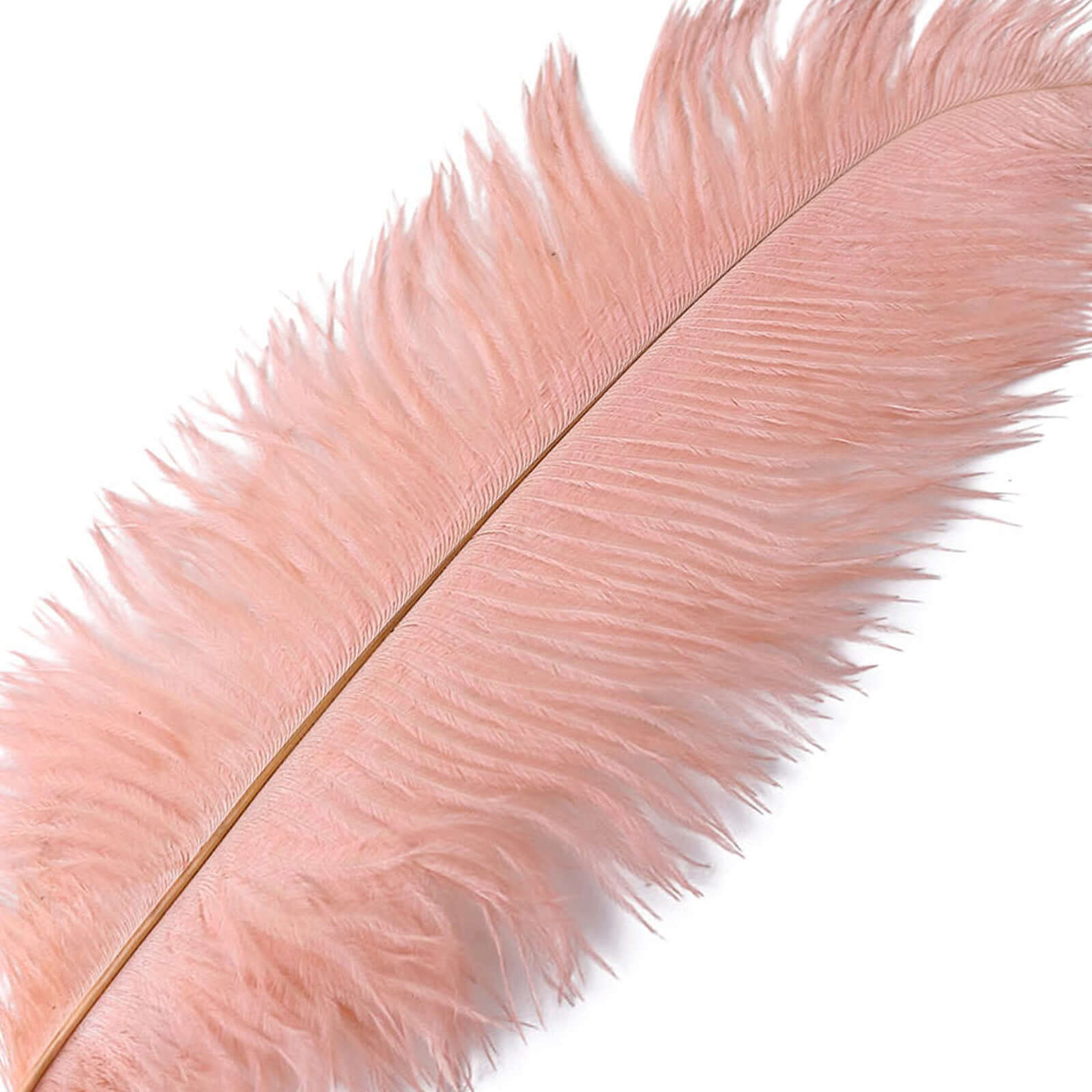 12 Pack 13"-15" Mauve Natural Plume Real Ostrich Feathers, DIY Centerpiece Fillers