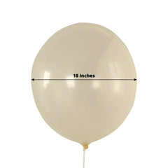10 Pack Clear Biodegradable Balloons, 18" Thickened Extra Strong Eco-friendly Latex Helium Party Balloons