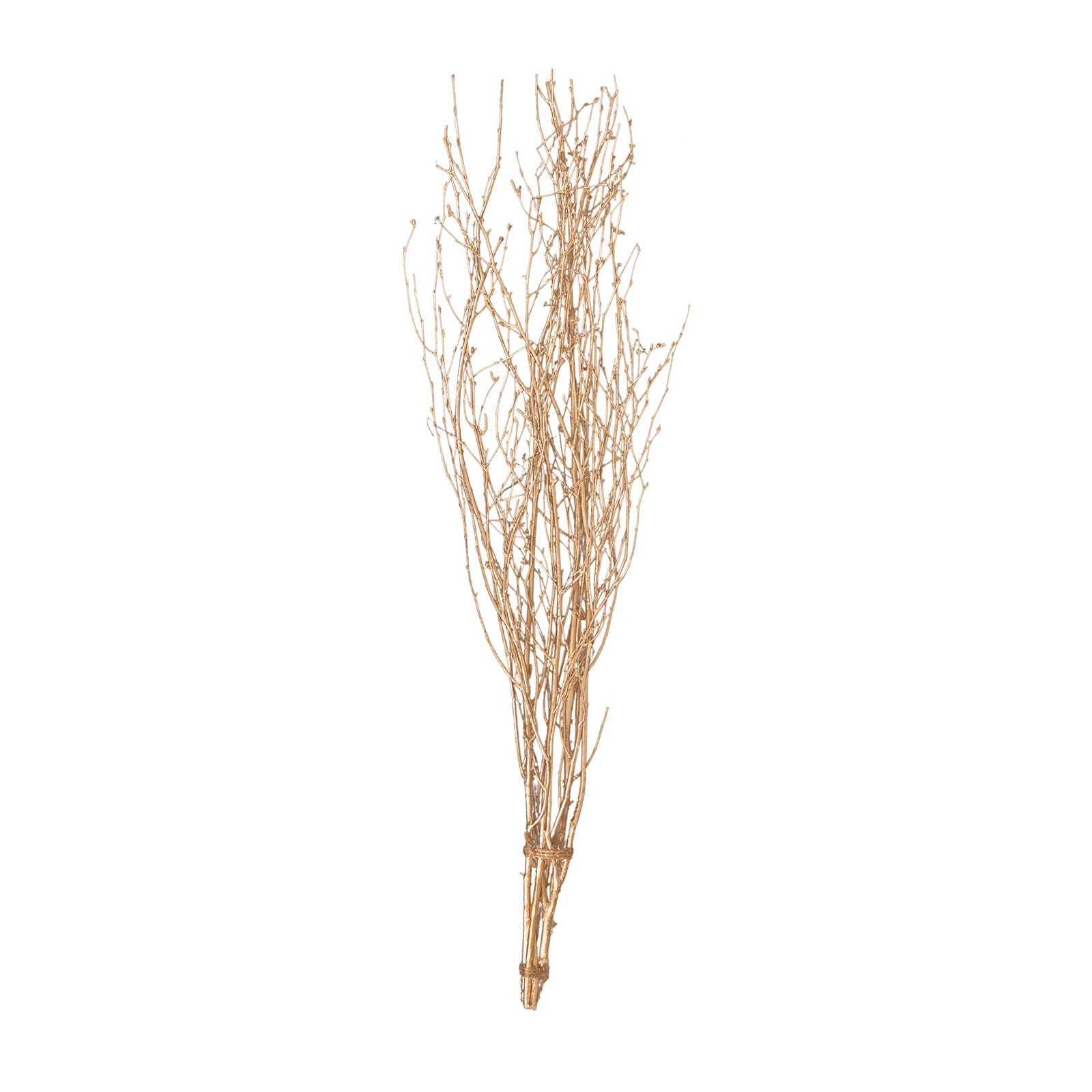 6-Pack Natural Birch Tree Branches 46" Metallic Gold - Versatile Extra Long Decorative Dried Willow Twigs Sticks for Vase Centerpiece Wedding Decor