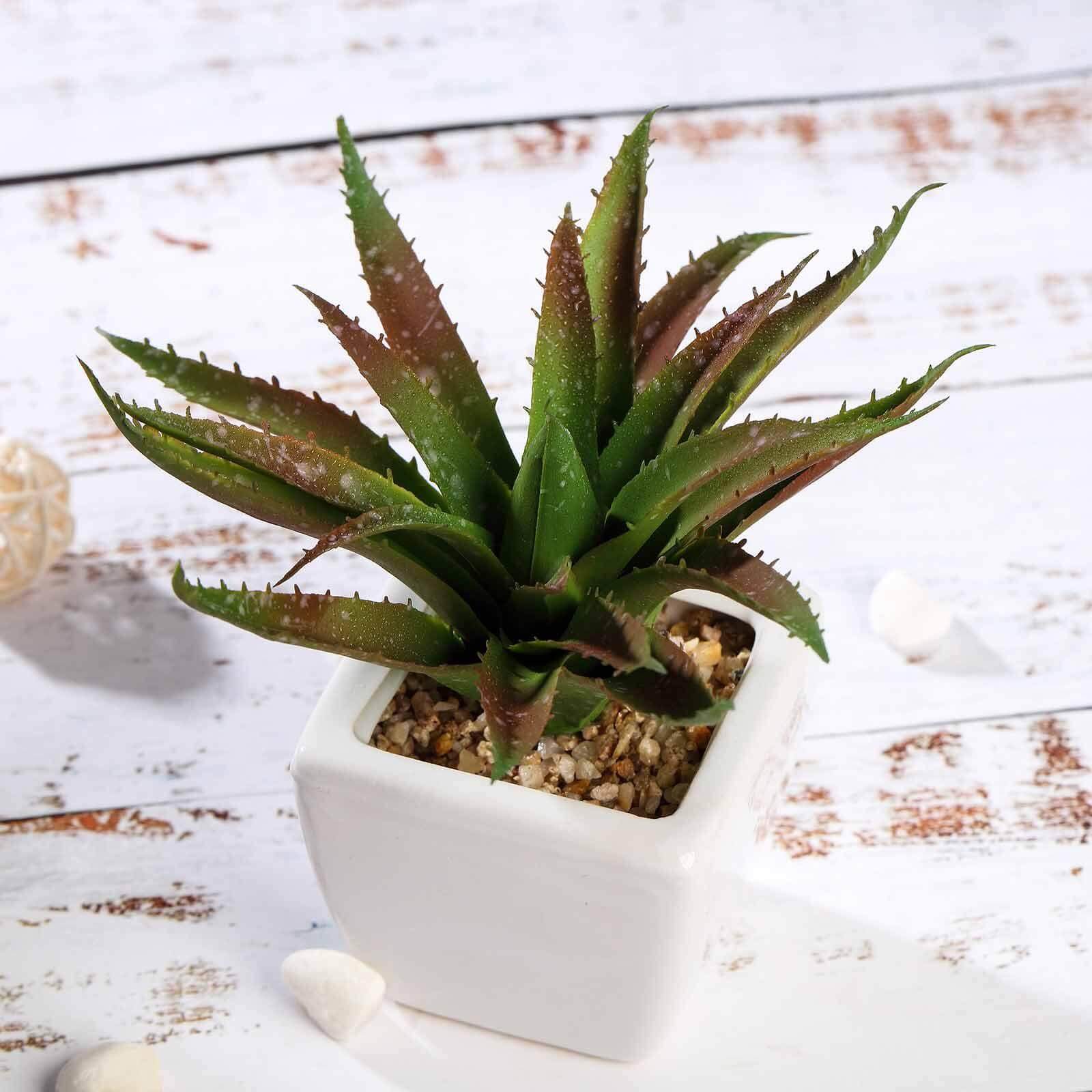 3-Pack Spotted Aloe Vera Artificial Succulents in Ceramic Pot - Lifelike Decorative Faux Plants for Home Office & Event Design 5"