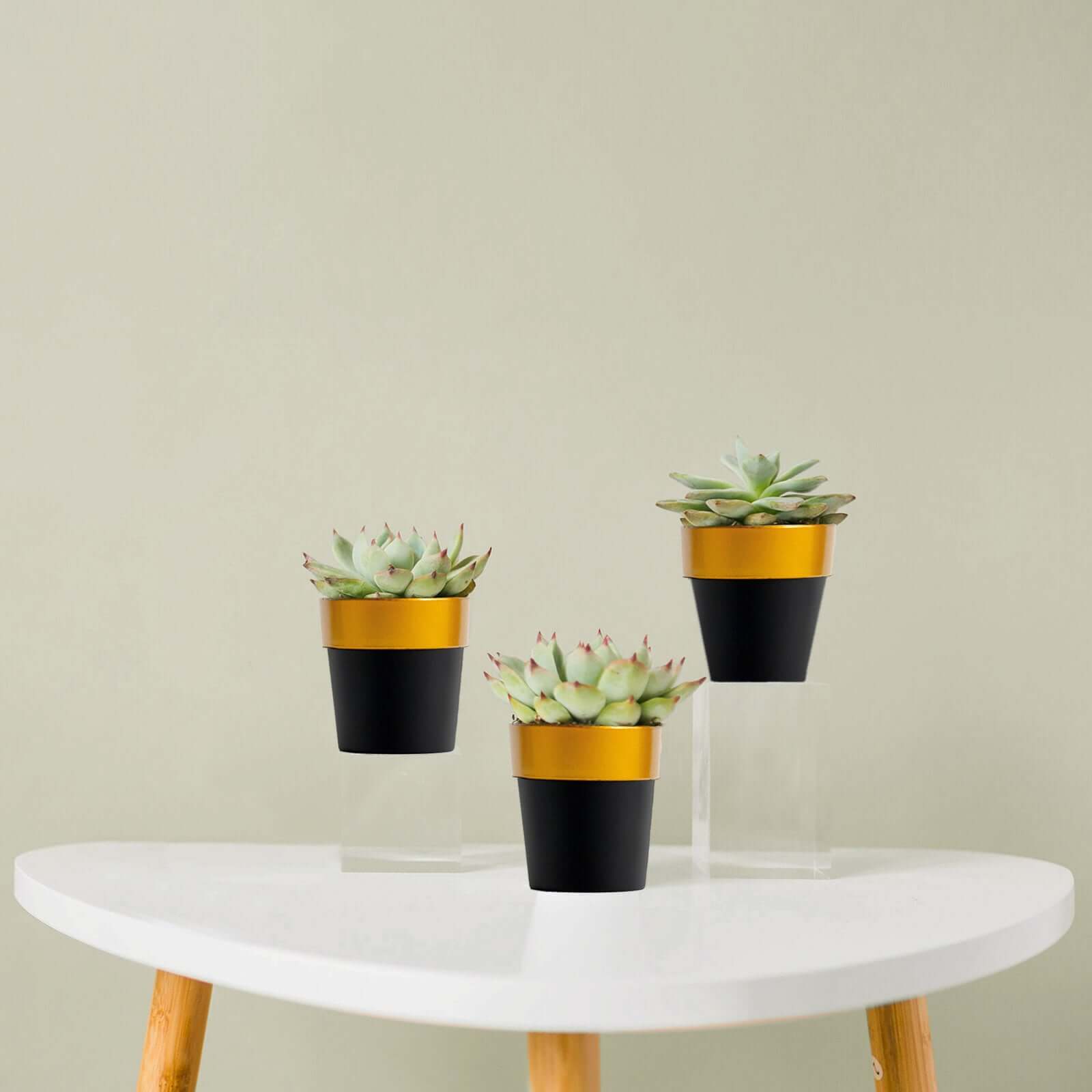 3-Pack Flower Plant Pots Small Design Black with Gold Rim - Plastic Indoor Decorative Planters 3"
