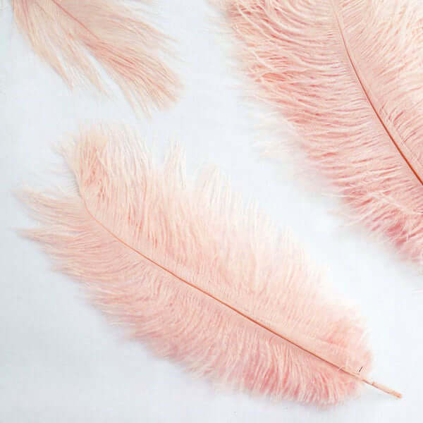 12 Pack 13"-15" Rose Gold Natural Plume Real Ostrich Feathers, DIY Centerpiece Fillers