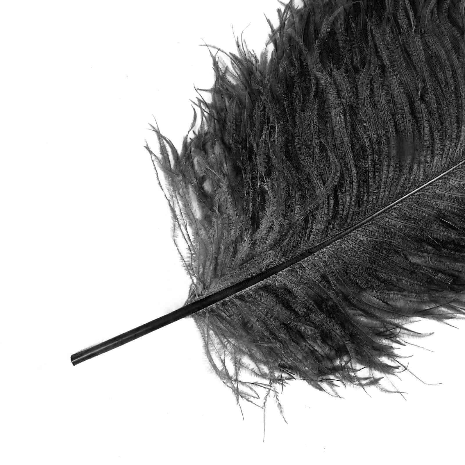 12 Pack Black Natural Plume Ostrich Feathers Centerpiece Filler - 24"-26"