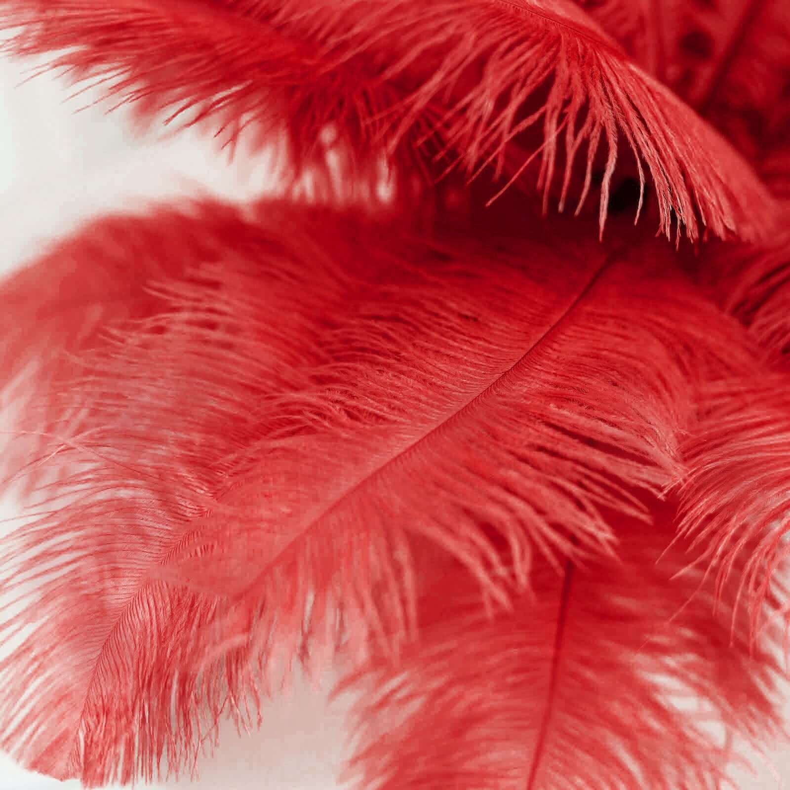 12 Pack 13"-15" Red Natural Plume Real Ostrich Feathers, DIY Centerpiece Fillers