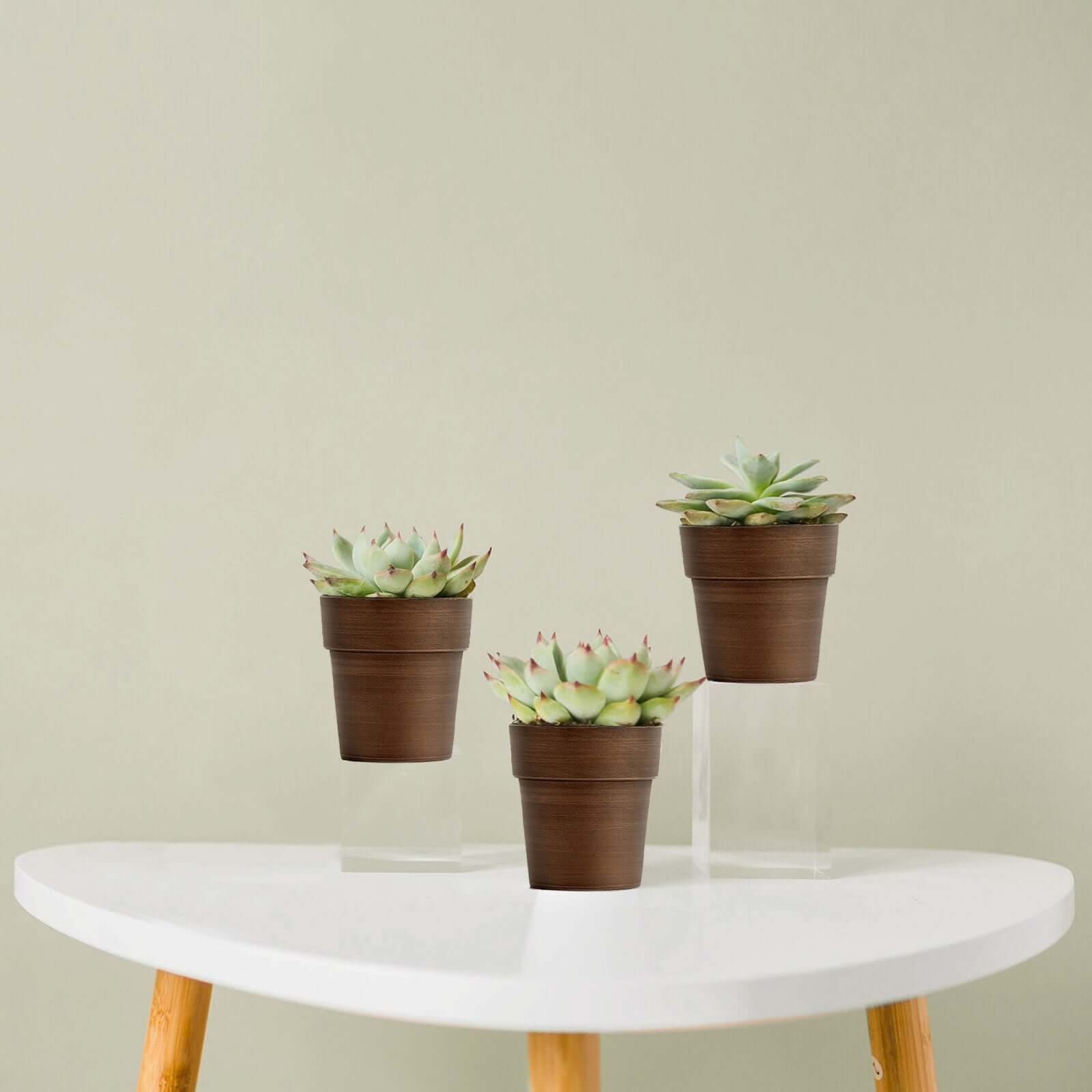 3-Pack Flower Plant Pots Small Design Rustic Brown - Plastic Indoor Decorative Planters 3"