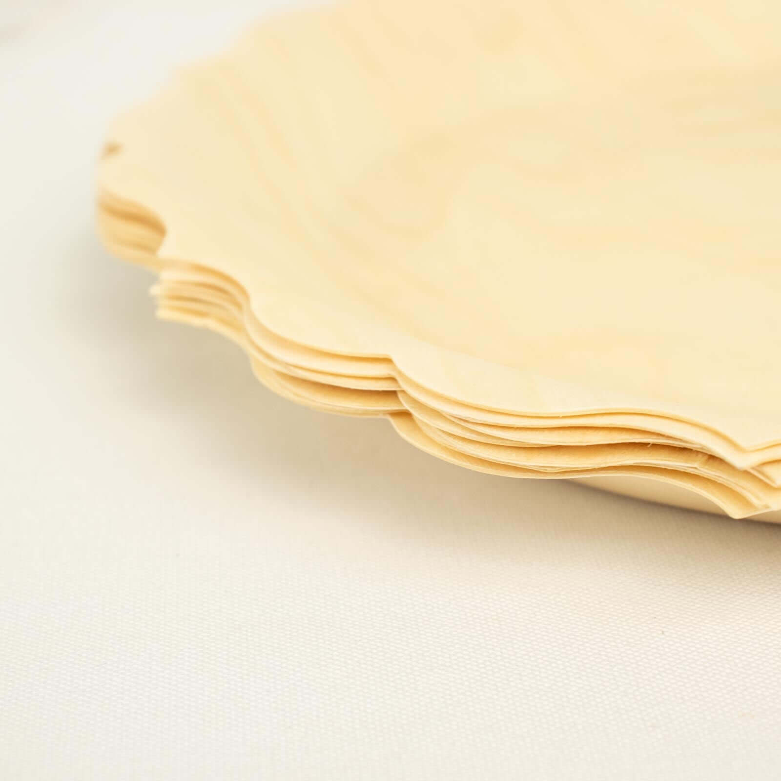 12-Pack Birchwood 9" Round Dinner Plates in Natural with Scalloped Rim - Eco Friendly Wooden Disposable Plates for Farmhouse-Style Events, Parties & Gatherings