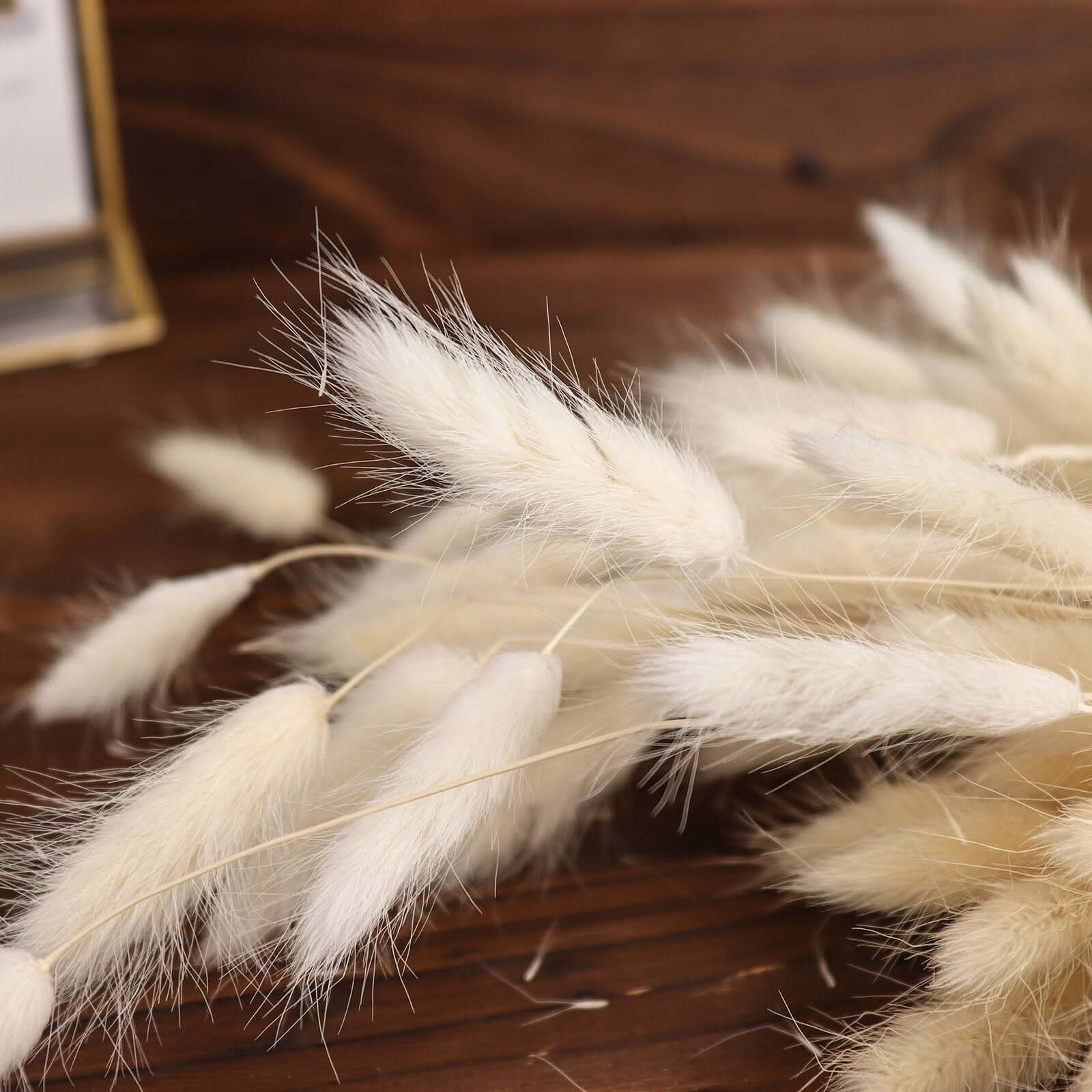 50-Pack Dried Bunny Tail Grass Natural White for Farmhouse Decor Event & Floral Displays 15"