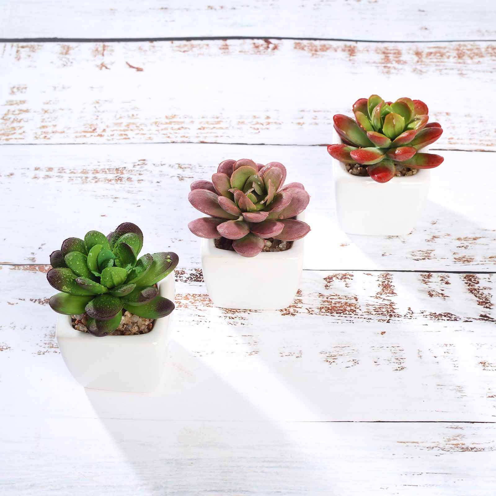3-Pack Echeveria Elegans Artificial Succulents in Ceramic Pot - Lifelike Decorative Faux Plants for Home Office & Event Design 3"