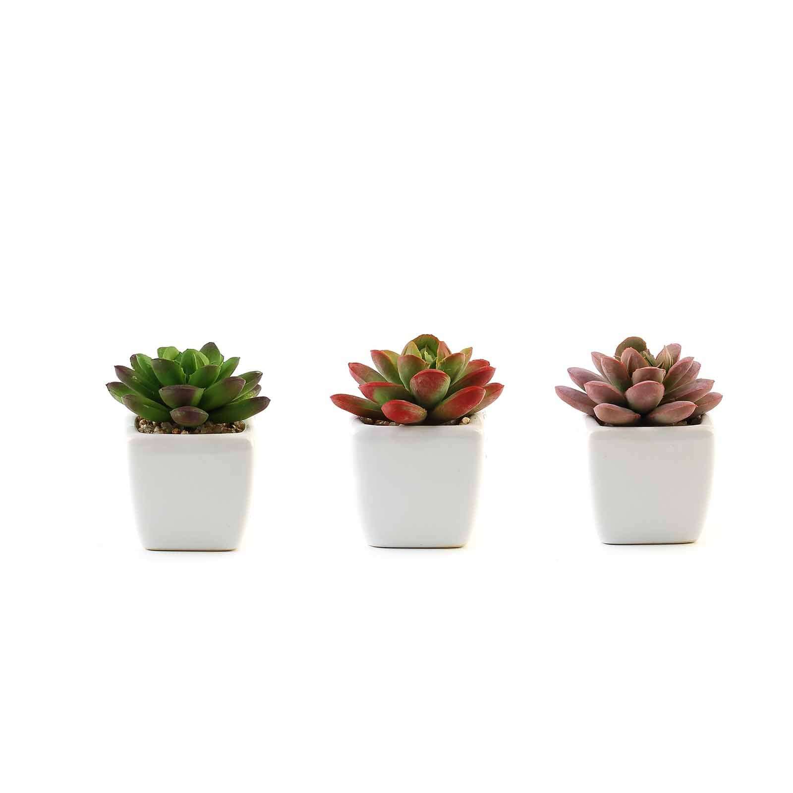 3-Pack Echeveria Elegans Artificial Succulents in Ceramic Pot - Lifelike Decorative Faux Plants for Home Office & Event Design 3"