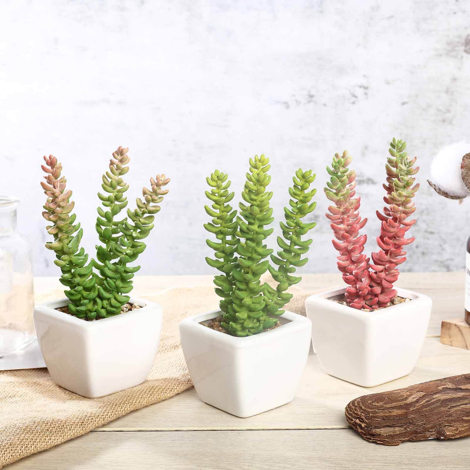 3-Pack Sedum Artificial Succulents in Ceramic Pot - Lifelike Decorative Faux Plants for Home Office & Event Design 8"