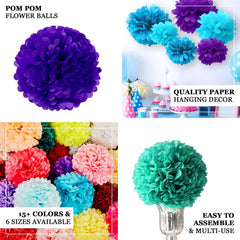 6 Pack 10" Silver Tissue Paper Pom Poms Flower Balls, Ceiling Wall Hanging Decorations