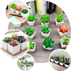 3-Pack Echeveria Elegans Artificial Succulents in Ceramic Pot - Lifelike Decorative Faux Plants for Home Office & Event Design 5"
