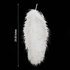 12 Pack White Natural Plume Ostrich Feathers Centerpiece Filler - 24"-26"