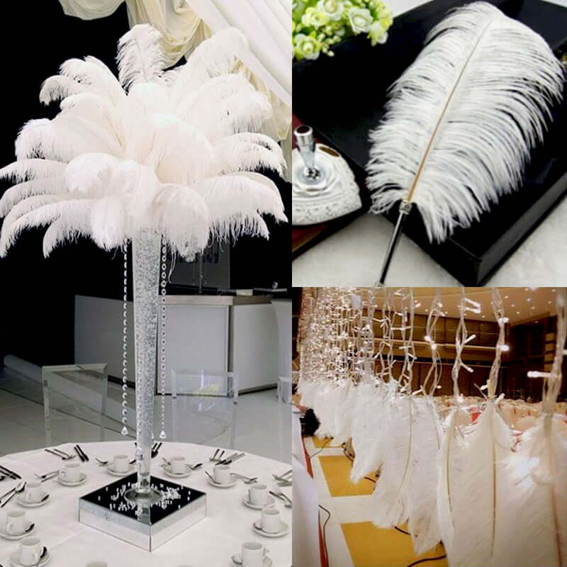 12 Pack 13"-15" White Natural Plume Real Ostrich Feathers, DIY Centerpiece Fillers
