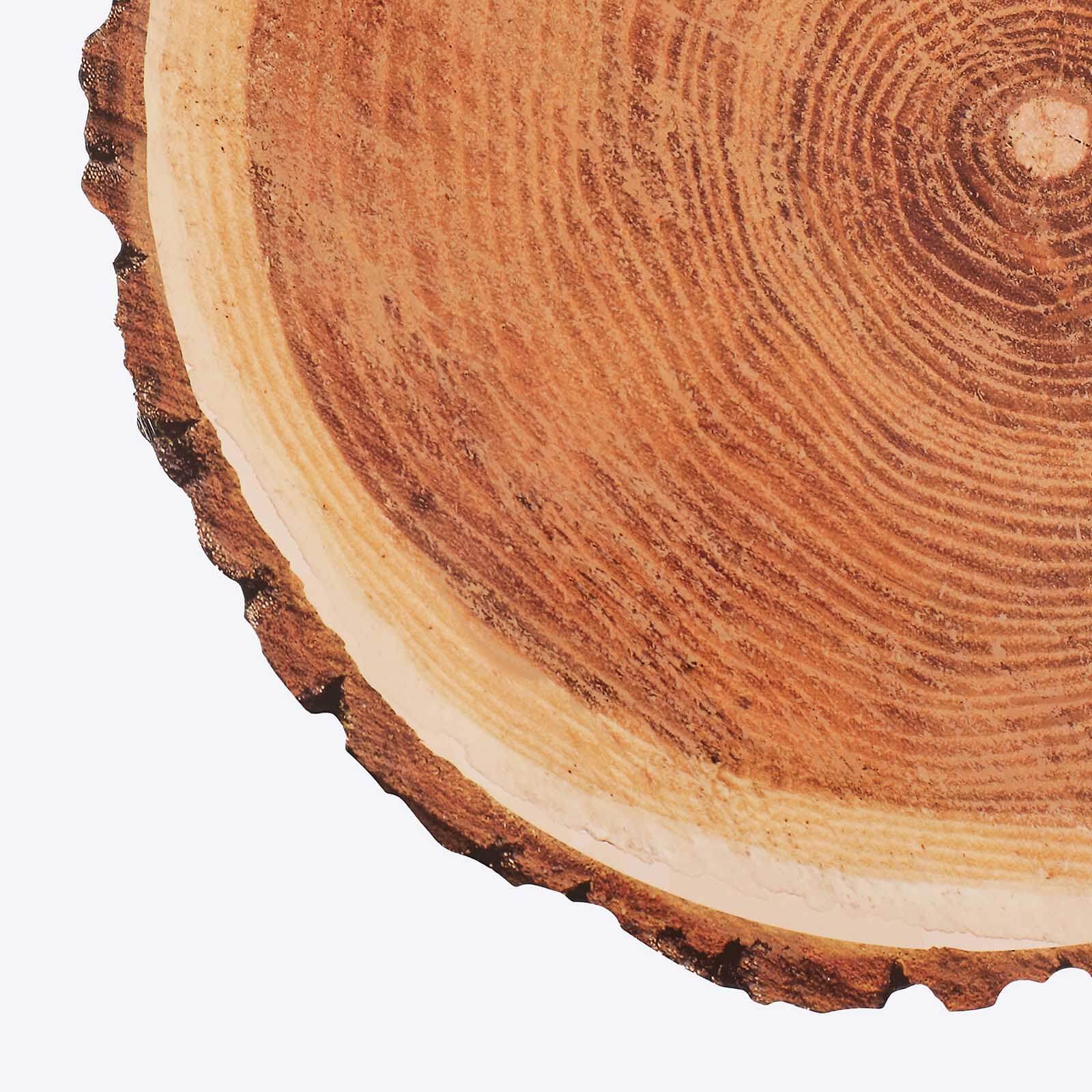 6-Pack Disposable Table Placemats in Natural Wood Slice Print - 700GSM Cardboard Placemats for Boho Farmhouse Decor 13"